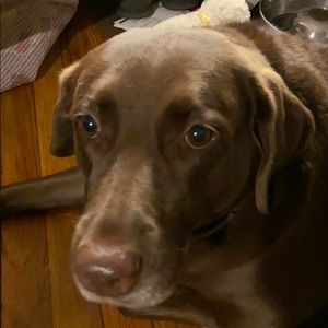 Meet your Posher, Karin